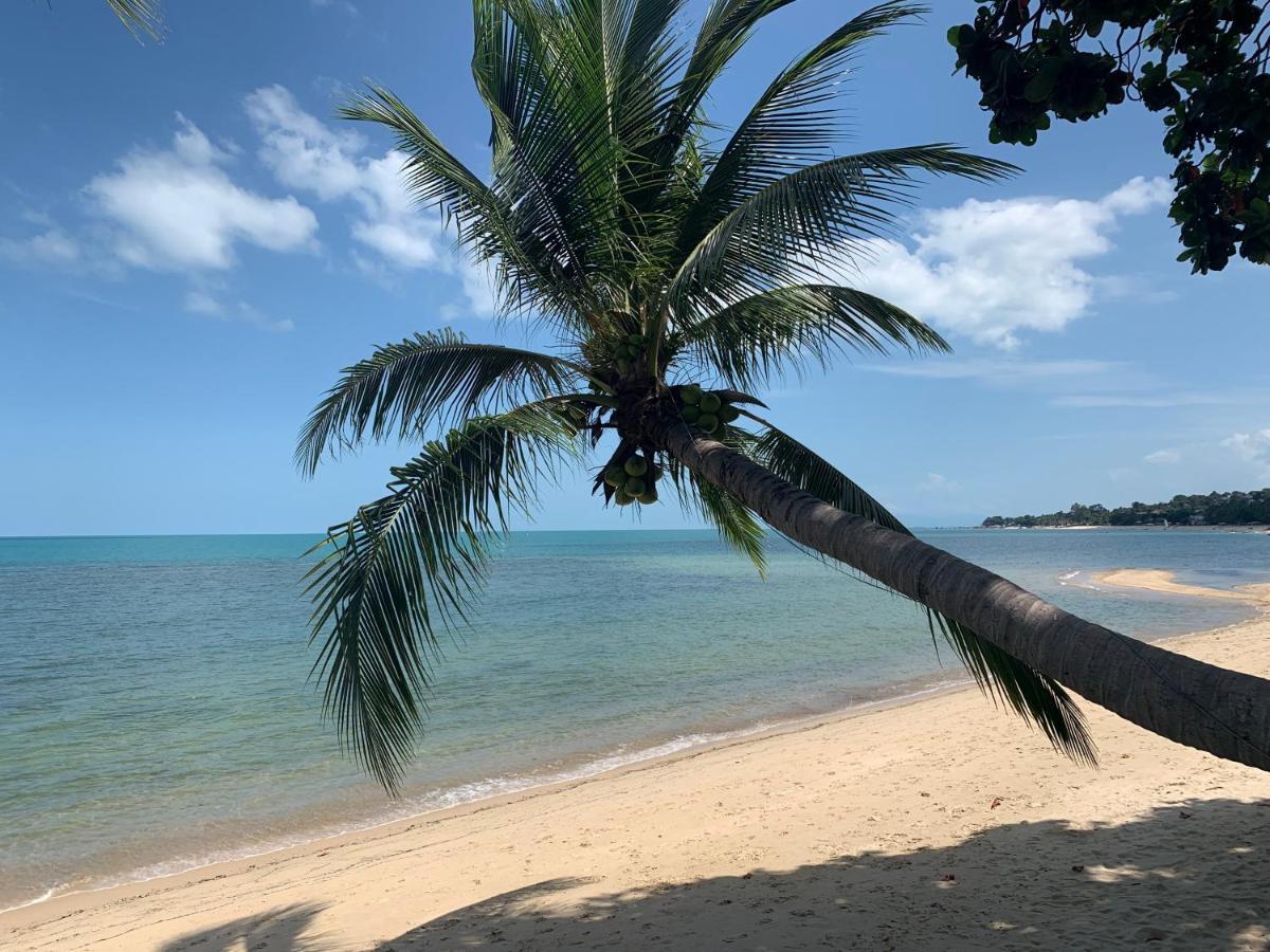 Sand Sea Resort&Spa - Lamai Beach , Koh Samui Bagian luar foto